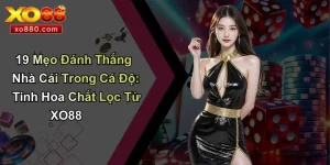 19 Mẹo Đánh Thắng Nhà Cái Trong Cá Độ
