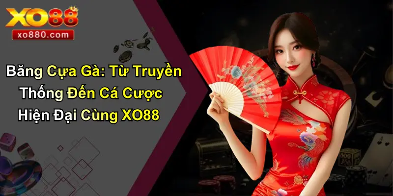 Băng Cựa Gà: Từ Truyền Thống Đến Cá Cược Hiện Đại Cùng XO88 1 Băng Cựa Gà