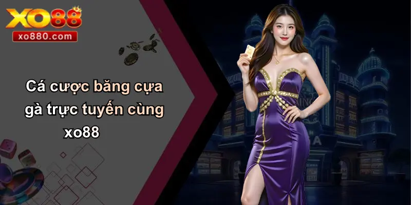 Băng Cựa Gà: Từ Truyền Thống Đến Cá Cược Hiện Đại Cùng XO88 4 Cá cược băng cựa gà trực tuyến cùng xo88