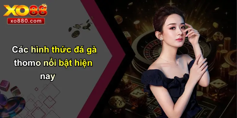 Đá Gà Thomo Là Gì: Tổng Quan Thông Tin Từ XO88 Pro 3 Các hình thức đá gà thomo nổi bật hiện nay