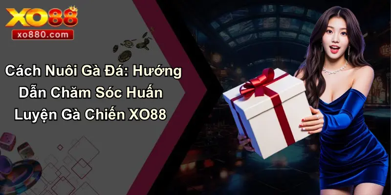 Cách Nuôi Gà Đá: Hướng Dẫn Chăm Sóc Huấn Luyện Gà Chiến XO88 1 Cách Nuôi Gà Đá