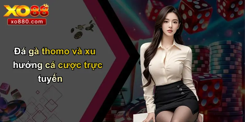 Thomo Là Ở Đâu: Bí Ẩn Trường Gà Lịch Sử Và Đá Gà Trực Tuyến 4 Đá gà thomo và xu hướng cá cược trực tuyến