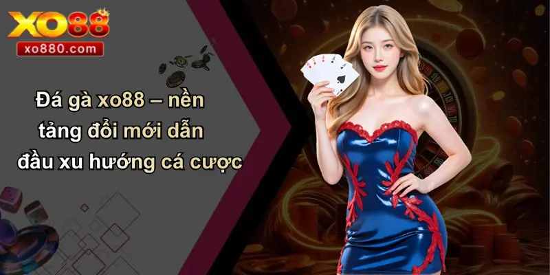 ĐÁ GÀ XO88 1 Đá gà xo88 – nền tảng đổi mới dẫn đầu xu hướng cá cược
