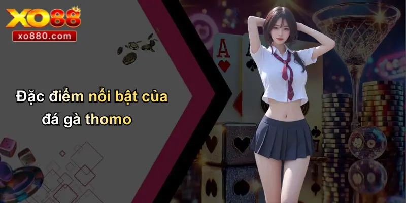 Đá Gà Thomo Là Gì: Tổng Quan Thông Tin Từ XO88 Pro 2 Đặc điểm nổi bật của đá gà thomo