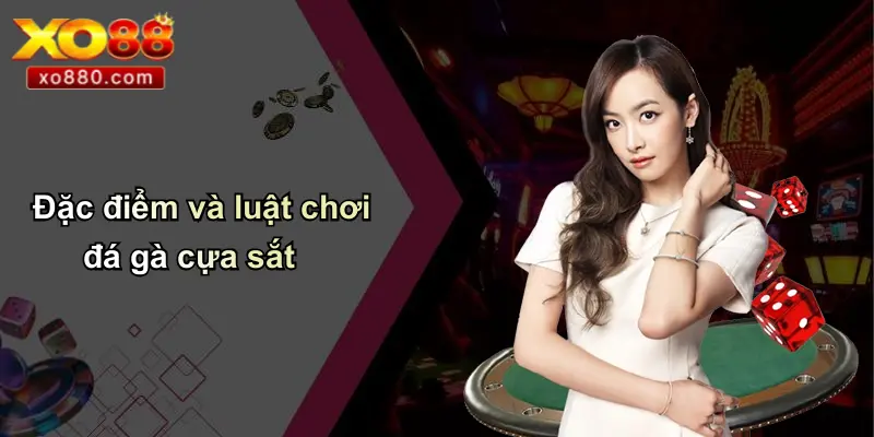 Đặc điểm và luật chơi đá gà cựa sắt