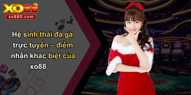 ĐÁ GÀ XO88 3 Hệ sinh thái đá gà trực tuyến – điểm nhấn khác biệt của xo88