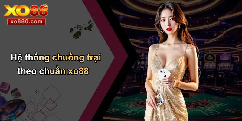 Cách Nuôi Gà Đá: Hướng Dẫn Chăm Sóc Huấn Luyện Gà Chiến XO88 2 Hệ thống chuồng trại theo chuẩn xo88