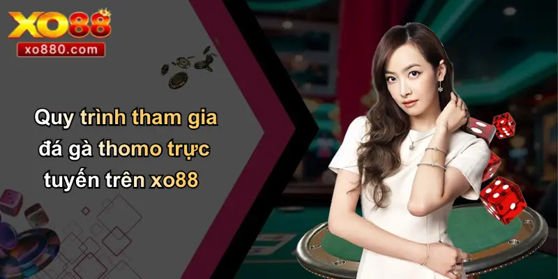 Đá Gà Thomo Là Gì: Tổng Quan Thông Tin Từ XO88 Pro 4 Quy trình tham gia đá gà thomo trực tuyến trên xo88