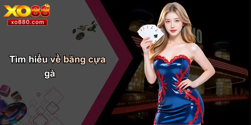 Băng Cựa Gà: Từ Truyền Thống Đến Cá Cược Hiện Đại Cùng XO88 2 Tìm hiểu về băng cựa gà