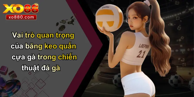 Băng Keo Quấn Cựa Gà: Bí Quyết Chiến Thắng Được Tiết Lộ Từ XO88 5 Vai trò quan trọng của băng keo quấn cựa gà trong chiến thuật đá gà